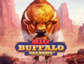 game logo by Skywind Group on chanzescasino.com