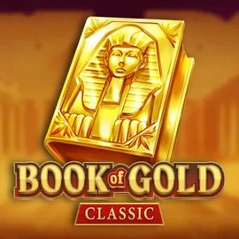 game logo by Playson on chanzescasino.com