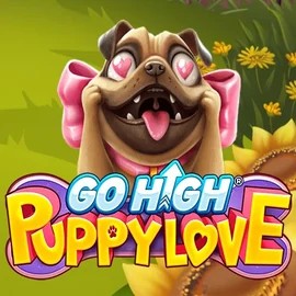 game logo by RubyPlay on chanzescasino.com